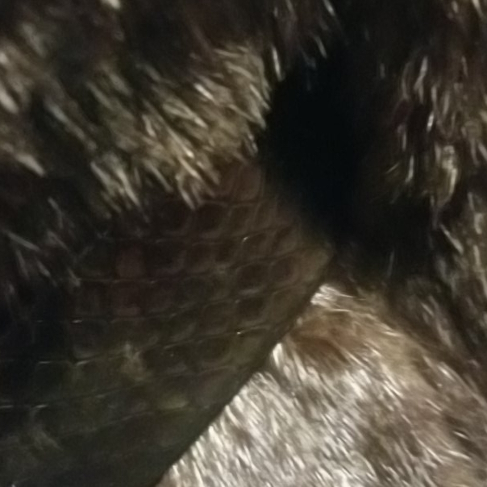 Mink Jacket/Belt Not Included - Picture 12 of 16
